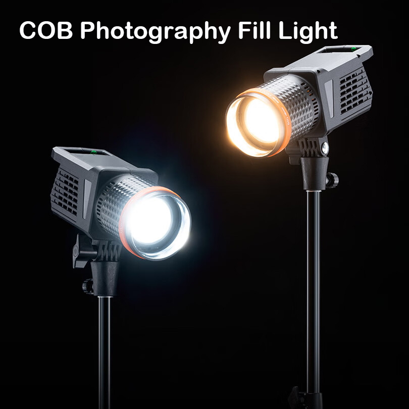 Photography Lighting For Portraits - Lámpara LED de 40W, foco de