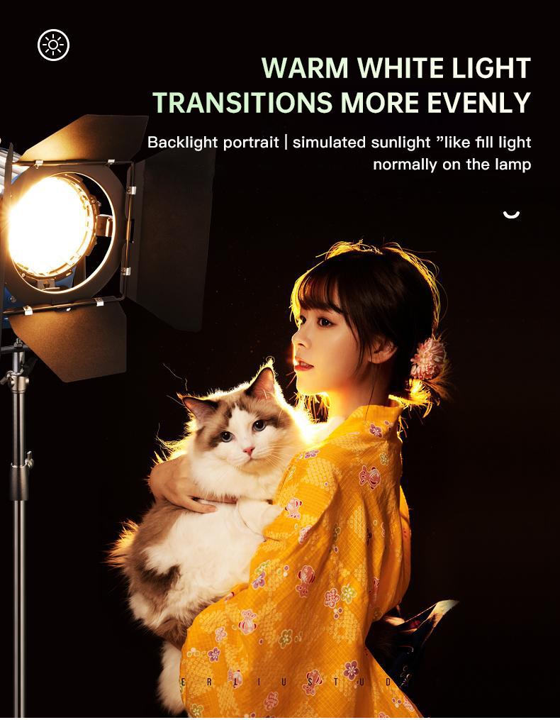 Beiyang 2000W foco luz de pelo - Photography Lighting For Portraits reseña y precio