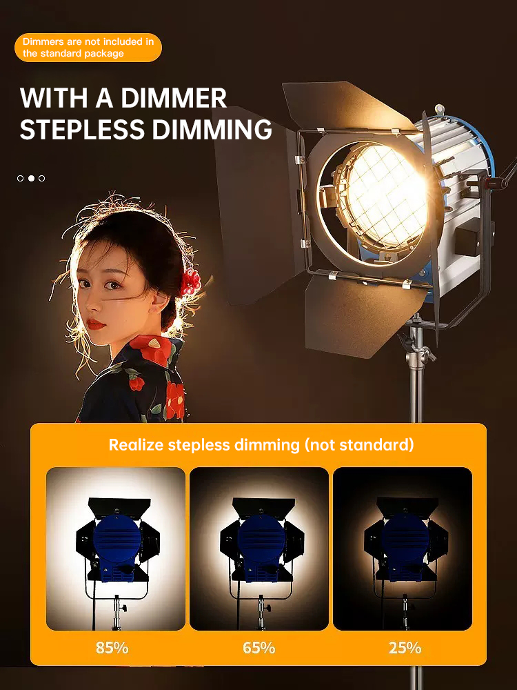 Beiyang 2000W foco luz de pelo - Photography Lighting For Portraits reseña y precio