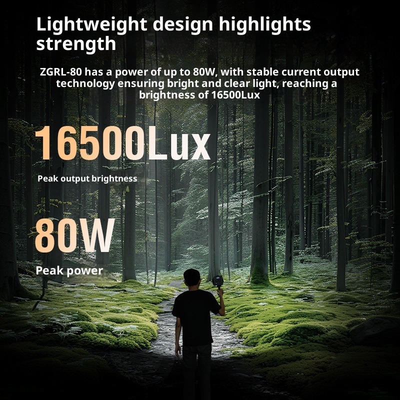 Luz LED de vídeo COB ZGRL80 de - Photography Lighting System reseña y precio